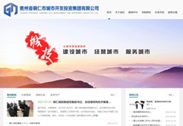 萨迦城市开发投资集团有限公司