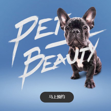 萨迦宠物中心小程序开发