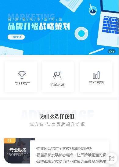 萨迦咨询策划小程序开发